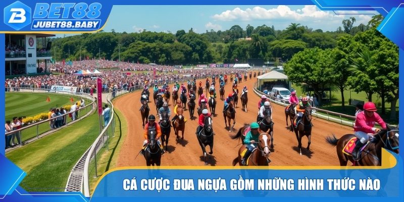Cá cược đua ngựa gồm những hình thức phổ biến nào