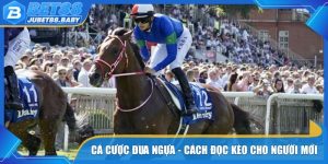 Cá Cược Đua Ngựa - Cách Đọc Các Dạng Kèo Chuẩn Cho Newbie