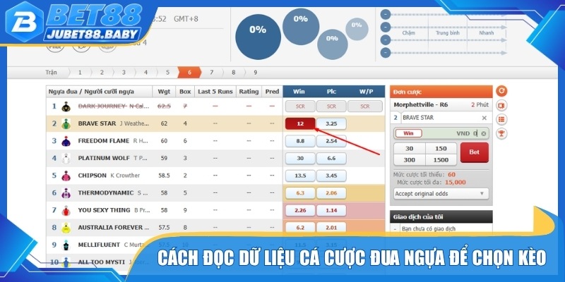 Cách đọc dữ liệu cá cược đua ngựa để chọn kèo