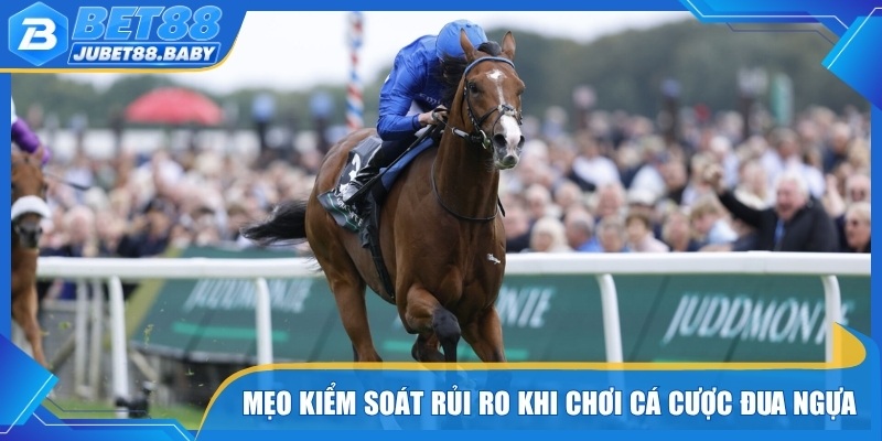Mẹo kiểm soát rủi ro khi theo dõi cá cược đua ngựa