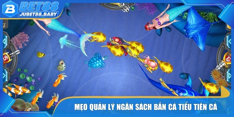 Mẹo quản lý ngân sách Bắn cá Tiểu Tiên Cá