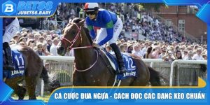Cá Cược Đua Ngựa - Cách Đọc Các Dạng Kèo Chuẩn Cho Newbie