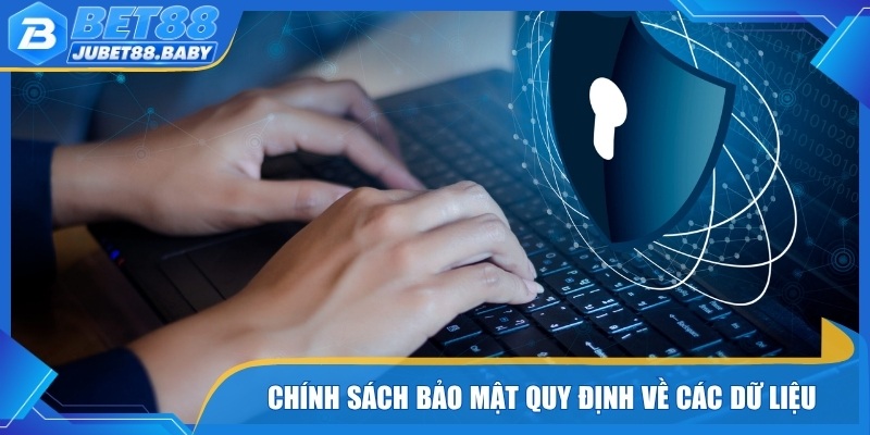 Chính sách bảo mật quy định về các dữ liệu
